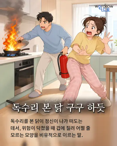 한국어 속담 “독수리 본 닭 구구 하듯”를 한 장면으로 담은 1컷 일러스트