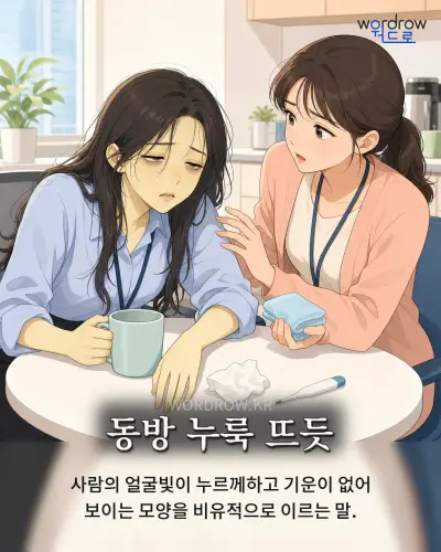 한국어 속담 “동방 누룩 뜨듯” 1컷 일러스트
