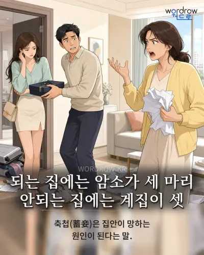 한국어 속담 “되는 집에는 암소가 세 마리 안되는 집에는 계집이 셋” 1컷 일러스트
