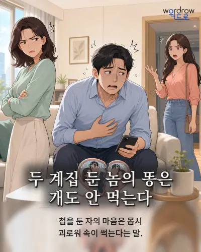 한국어 속담 “두 계집 둔 놈의 똥은 개도 안 먹는다” 1컷 일러스트