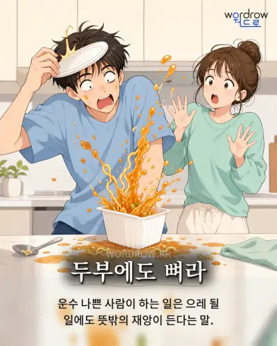 한국어 속담 “두부에도 뼈라” 1컷 일러스트