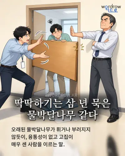 한국어 속담 “딱딱하기는 삼 년 묵은 물박달나무 같다” 1컷 일러스트