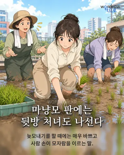 한국어 속담 “마냥모 판에는 뒷방 처녀도 나선다” 1컷 일러스트