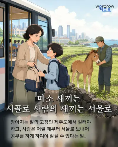 한국어 속담 “마소 새끼는 시골로 사람의 새끼는 서울로” 1컷 일러스트