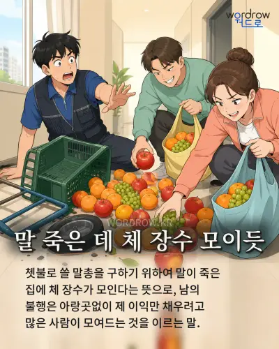 한국어 속담 “말 죽은 데 체 장수 모이듯” 1컷 일러스트