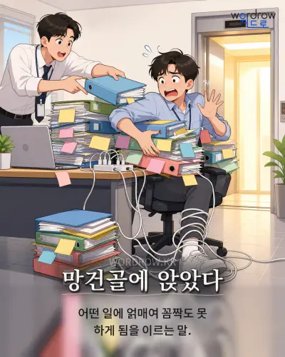 한국어 속담 “망건골에 앉았다”를 한 장면으로 담은 1컷 일러스트