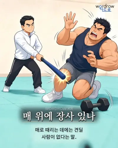한국어 속담 “매 위에 장사 있나”를 한 장면으로 담은 1컷 일러스트