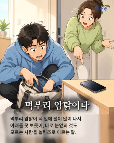 한국어 속담 “멱부리 암탉이다” 1컷 일러스트