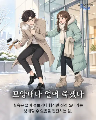 한국어 속담 “모양내다 얼어 죽겠다”를 한 장면으로 담은 1컷 일러스트