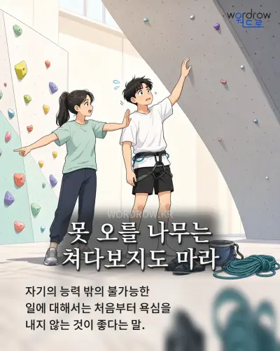 한국어 속담 “못 오를 나무는 쳐다보지도 마라” 1컷 일러스트