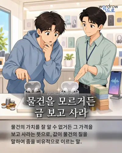 한국어 속담 “물건을 모르거든 금 보고 사라” 1컷 일러스트