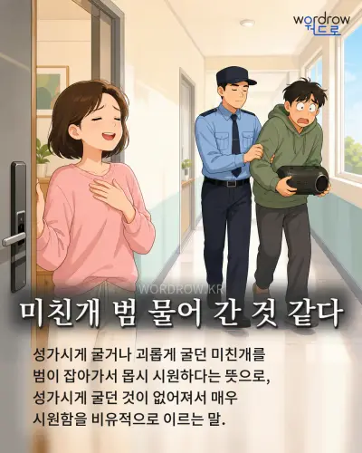 한국어 속담 “미친개 범 물어 간 것 같다” 1컷 일러스트