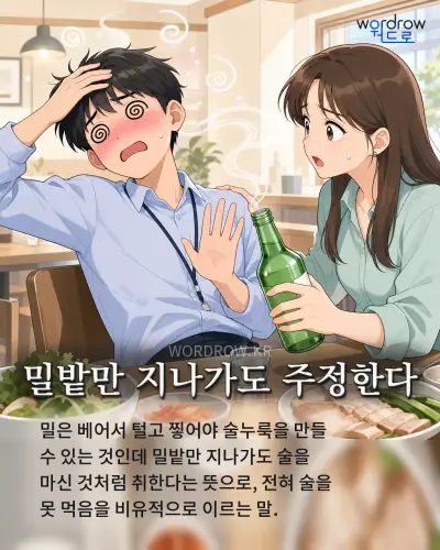 한국어 속담 “밀밭만 지나가도 주정한다” 1컷 일러스트