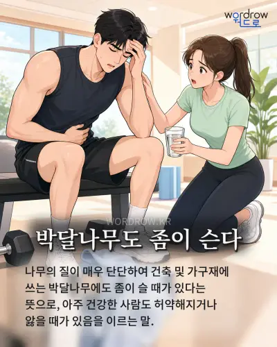 한국어 속담 “박달나무도 좀이 슨다” 1컷 일러스트