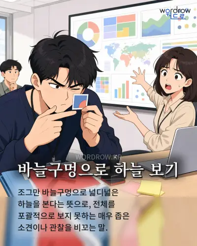한국어 속담 “바늘구멍으로 하늘 보기” 1컷 일러스트