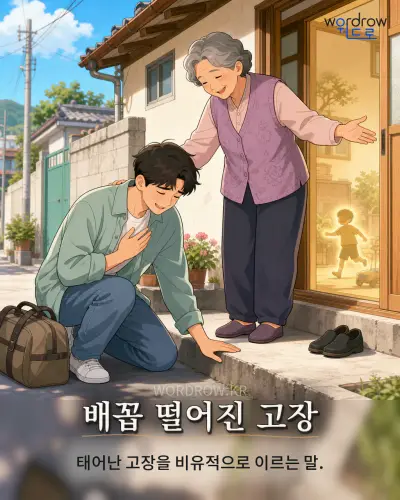 한국어 속담 “배꼽 떨어진 고장” 1컷 일러스트