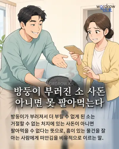 한국어 속담 “방둥이 부러진 소 사돈 아니면 못 팔아먹는다” 1컷 일러스트