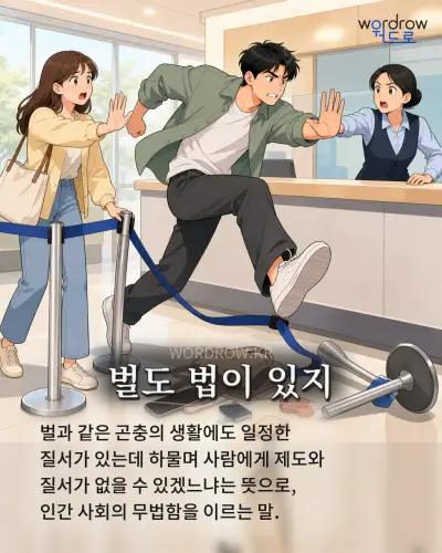 한국어 속담 “벌도 법이 있지” 1컷 일러스트