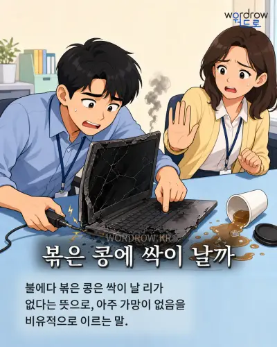 한국어 속담 “볶은 콩에 싹이 날까” 1컷 일러스트