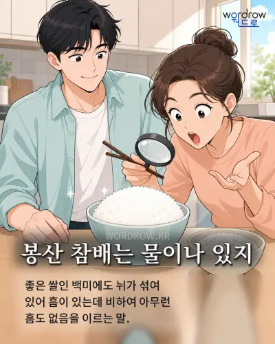 한국어 속담 “봉산 참배는 물이나 있지” 1컷 일러스트