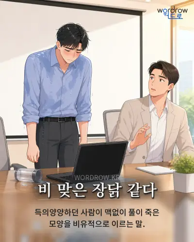 한국어 속담 “비 맞은 장닭 같다” 1컷 일러스트
