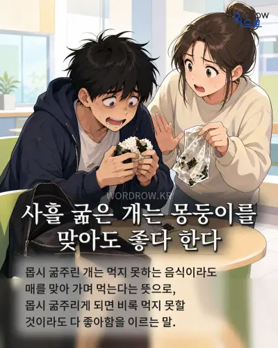 한국어 속담 “사흘 굶은 개는 몽둥이를 맞아도 좋다 한다” 1컷 일러스트