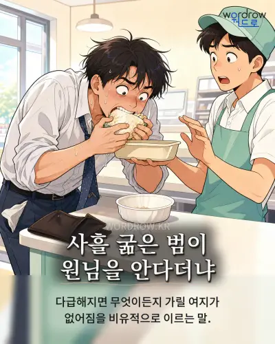 한국어 속담 “사흘 굶은 범이 원님을 안다더냐” 1컷 일러스트