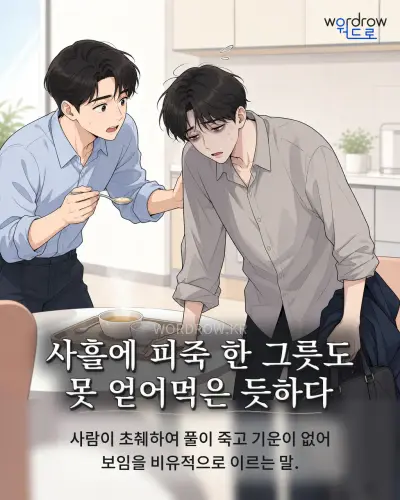 한국어 속담 “사흘에 피죽 한 그릇도 못 얻어먹은 듯하다” 1컷 일러스트