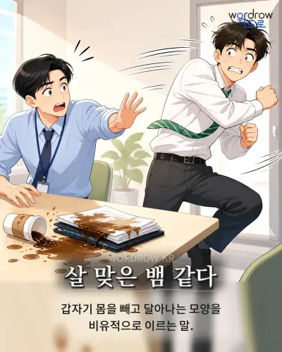 한국어 속담 “살 맞은 뱀 같다” 1컷 일러스트