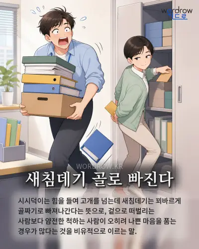 한국어 속담 “새침데기 골로 빠진다” 1컷 일러스트