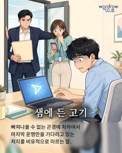 한국어 속담 “샘에 든 고기” 1컷 일러스트