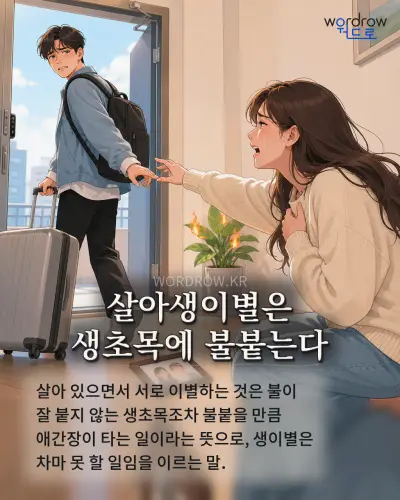 한국어 속담 “살아생이별은 생초목에 불붙는다” 1컷 일러스트