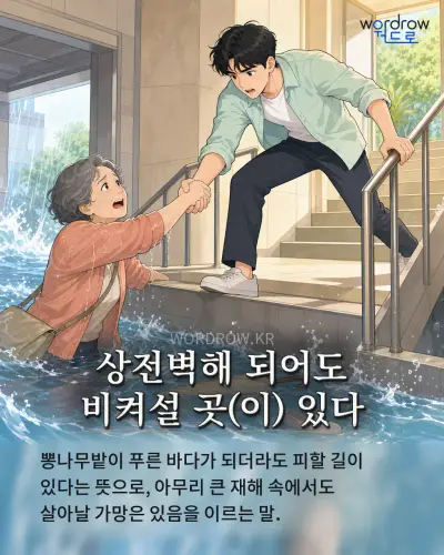 한국어 속담 “상전벽해 되어도 비켜설 곳(이) 있다” 1컷 일러스트