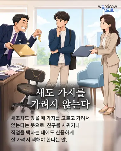 한국어 속담 “새도 가지를 가려서 앉는다” 1컷 일러스트