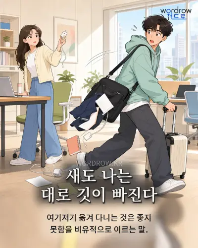 한국어 속담 “새도 나는 대로 깃이 빠진다” 1컷 일러스트