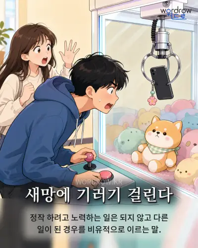 한국어 속담 “새망에 기러기 걸린다” 1컷 일러스트