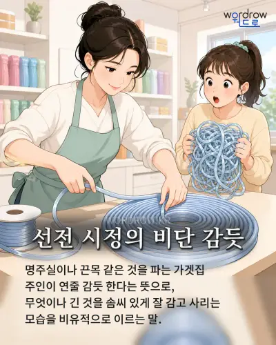 한국어 속담 “선전 시정의 비단 감듯” 1컷 일러스트