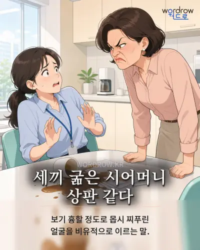 한국어 속담 “세끼 굶은 시어머니 상판 같다” 1컷 일러스트