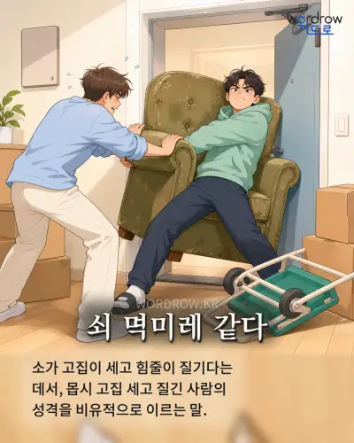 한국어 속담 “쇠 멱미레 같다” 1컷 일러스트