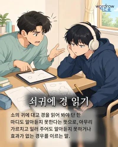 한국어 속담 “쇠귀에 경 읽기” 1컷 일러스트