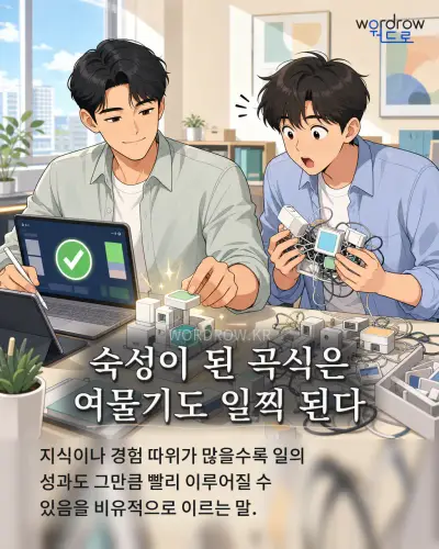 한국어 속담 “숙성이 된 곡식은 여물기도 일찍 된다”를 한 장면으로 담은 1컷 일러스트