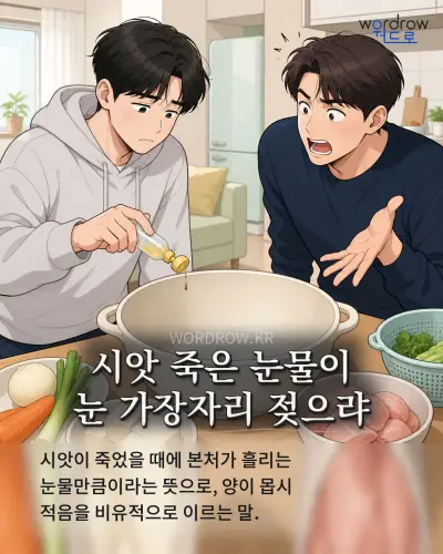 한국어 속담 “시앗 죽은 눈물이 눈 가장자리 젖으랴”를 한 장면으로 담은 1컷 일러스트