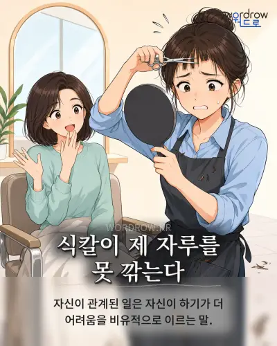 한국어 속담 “식칼이 제 자루를 못 깎는다” 1컷 일러스트