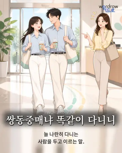 한국어 속담 “쌍동중매냐 똑같이 다니니” 1컷 일러스트