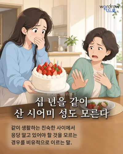 한국어 속담 “십 년을 같이 산 시어미 성도 모른다” 1컷 일러스트