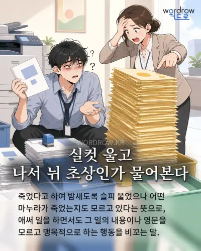 한국어 속담 “실컷 울고 나서 뉘 초상인가 물어본다” 1컷 일러스트