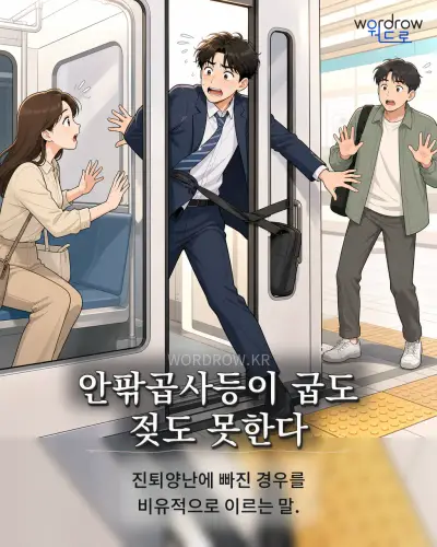 한국어 속담 “안팎곱사등이 굽도 젖도 못한다” 1컷 일러스트