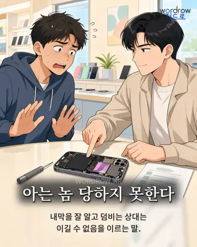 한국어 속담 “아는 놈 당하지 못한다” 1컷 일러스트