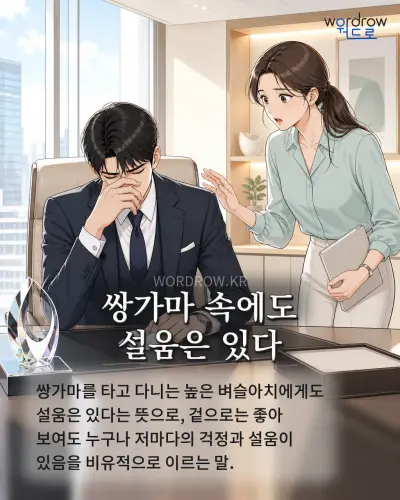 한국어 속담 “쌍가마 속에도 설움은 있다” 1컷 일러스트