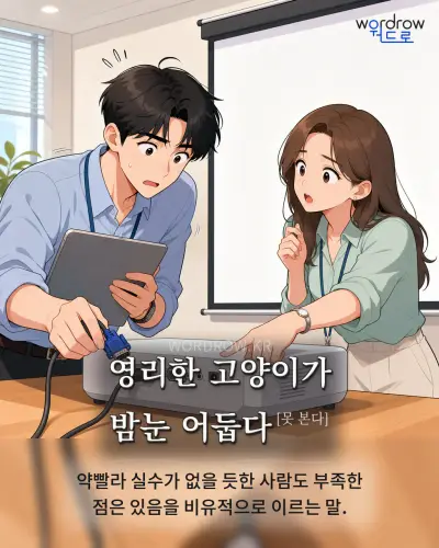 한국어 속담 “영리한 고양이가 밤눈 어둡다[못 본다]” 1컷 일러스트